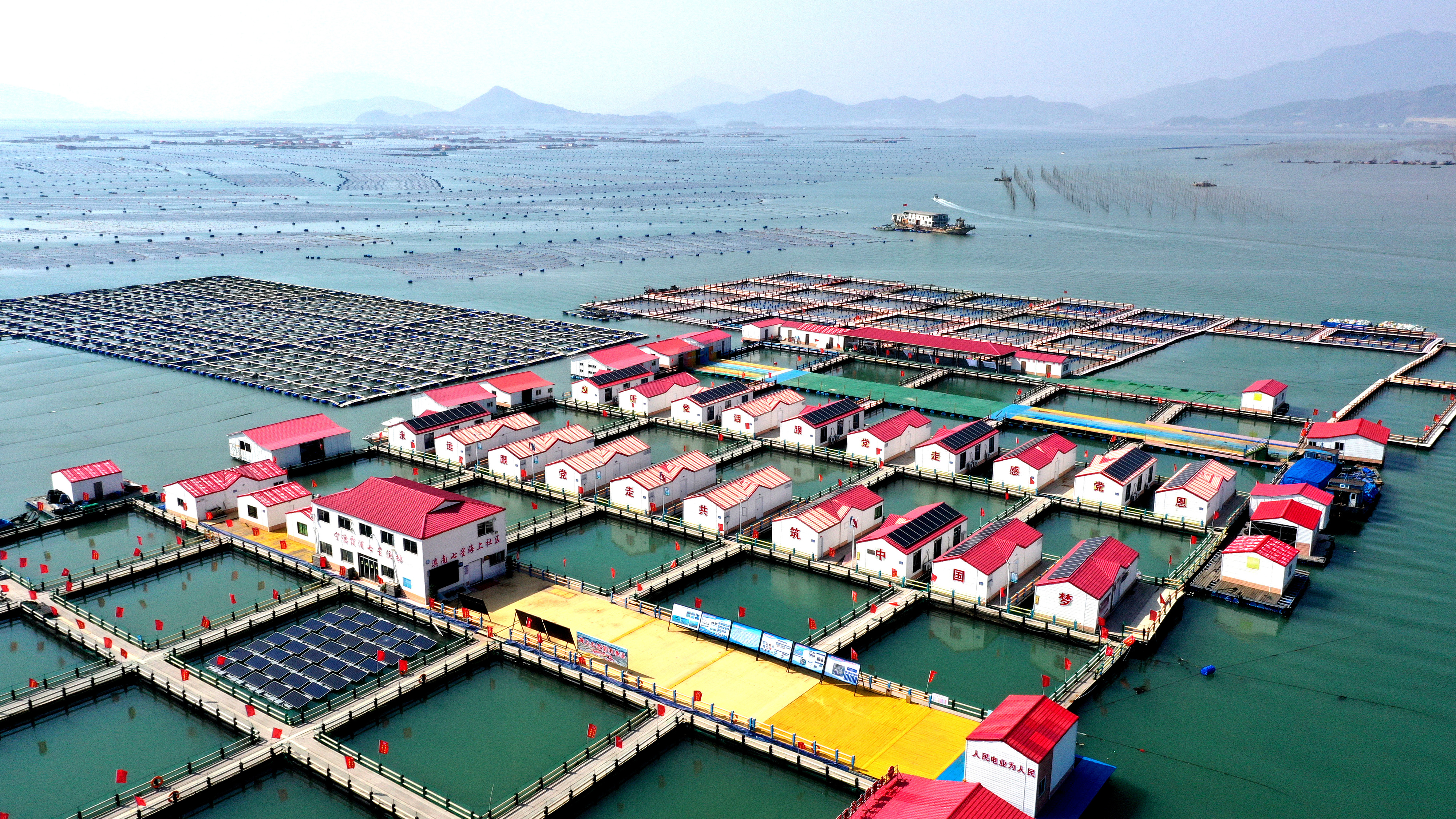 2024年3月20日，福建省寧德市，霞浦縣溪南鎮(zhèn)七星村漁排養(yǎng)殖示范區(qū)，漁民駕駛養(yǎng)殖船進(jìn)行海參養(yǎng)殖作業(yè)。